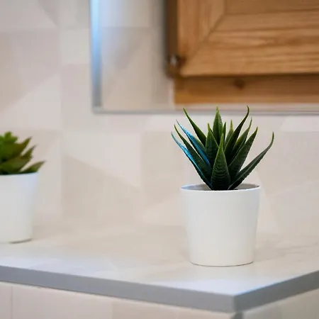 Domki-przystanek * Dzianisz