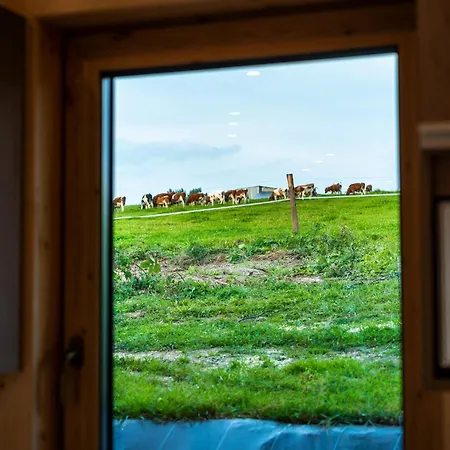 Prázdninový dům Domki-przystanek Dzianisz