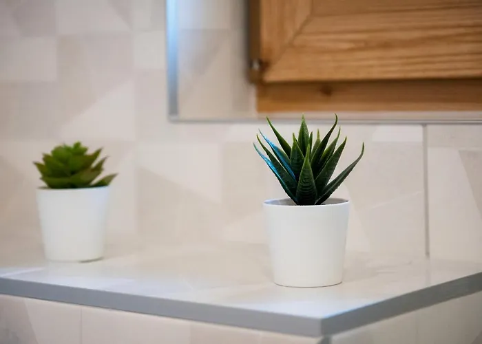 Domki-przystanek * Dzianisz