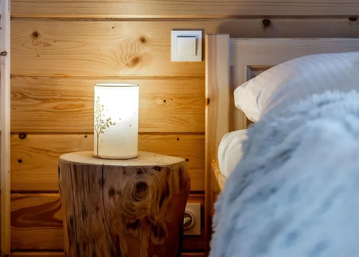 Domki-przystanek Dzianisz