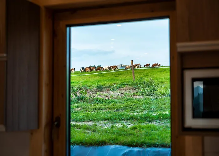 Nyaraló Domki-przystanek Dzianisz